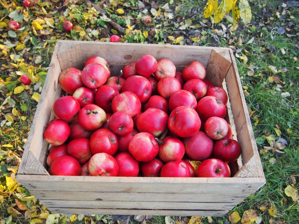 Srokowo Agroturystyka Lolkowo מראה חיצוני תמונה